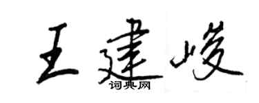 王正良王建峻行书个性签名怎么写