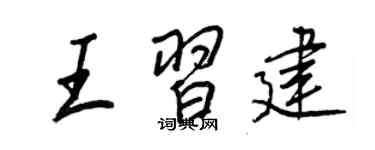 王正良王习建行书个性签名怎么写