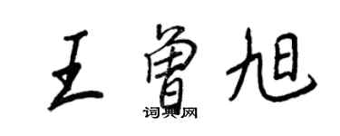 王正良王曾旭行书个性签名怎么写