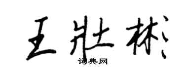 王正良王壮彬行书个性签名怎么写