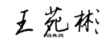 王正良王苑彬行书个性签名怎么写