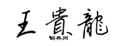 王正良王贵龙行书个性签名怎么写