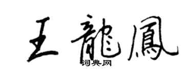 王正良王龙凤行书个性签名怎么写