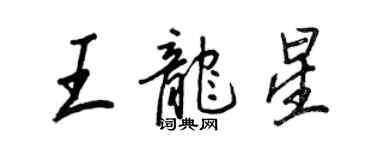王正良王龙星行书个性签名怎么写