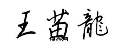 王正良王苗龙行书个性签名怎么写