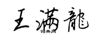 王正良王满龙行书个性签名怎么写