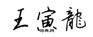 王正良王寅龙行书个性签名怎么写
