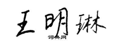 王正良王明琳行书个性签名怎么写