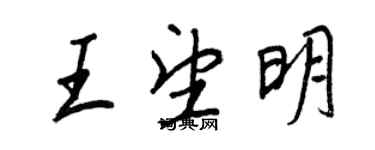 王正良王望明行书个性签名怎么写