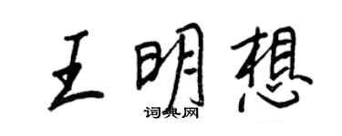 王正良王明想行书个性签名怎么写
