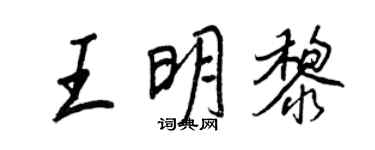 王正良王明黎行书个性签名怎么写
