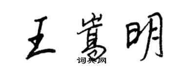 王正良王嵩明行书个性签名怎么写