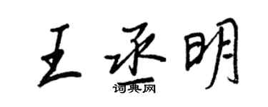 王正良王丞明行书个性签名怎么写