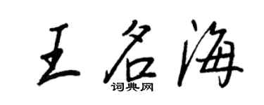 王正良王名海行书个性签名怎么写