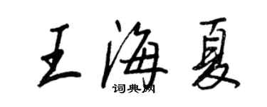 王正良王海夏行书个性签名怎么写