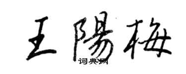 王正良王阳梅行书个性签名怎么写