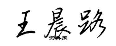 王正良王晨路行书个性签名怎么写