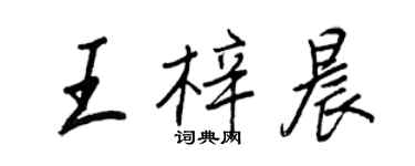 王正良王梓晨行书个性签名怎么写
