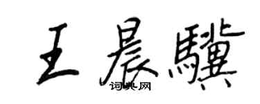 王正良王晨骥行书个性签名怎么写