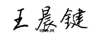王正良王晨键行书个性签名怎么写