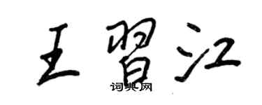 王正良王习江行书个性签名怎么写