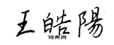 王正良王皓阳行书个性签名怎么写
