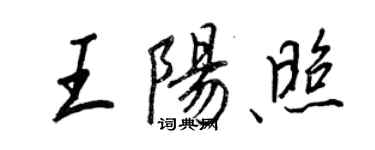 王正良王阳照行书个性签名怎么写