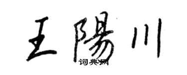 王正良王阳川行书个性签名怎么写
