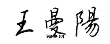 王正良王曼阳行书个性签名怎么写