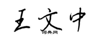 王正良王文中行书个性签名怎么写
