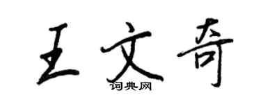王正良王文奇行书个性签名怎么写