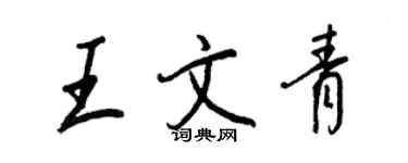 王正良王文青行书个性签名怎么写