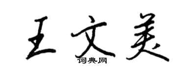 王正良王文美行书个性签名怎么写
