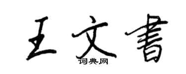 王正良王文书行书个性签名怎么写