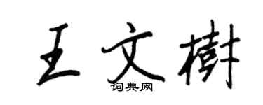 王正良王文树行书个性签名怎么写