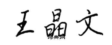 王正良王晶文行书个性签名怎么写