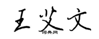 王正良王艾文行书个性签名怎么写