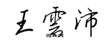 王正良王云沛行书个性签名怎么写