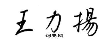 王正良王力扬行书个性签名怎么写