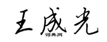 王正良王成光行书个性签名怎么写