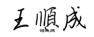 王正良王顺成行书个性签名怎么写