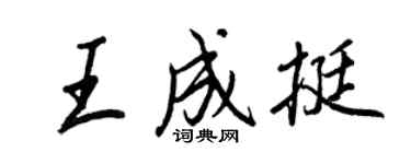 王正良王成挺行书个性签名怎么写