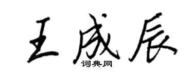 王正良王成辰行书个性签名怎么写