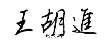 王正良王胡进行书个性签名怎么写