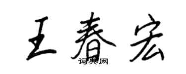 王正良王春宏行书个性签名怎么写