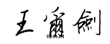 王正良王尔剑行书个性签名怎么写