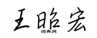 王正良王昭宏行书个性签名怎么写