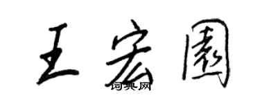 王正良王宏园行书个性签名怎么写