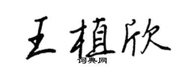 王正良王植欣行书个性签名怎么写
