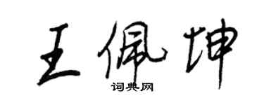王正良王佩坤行书个性签名怎么写